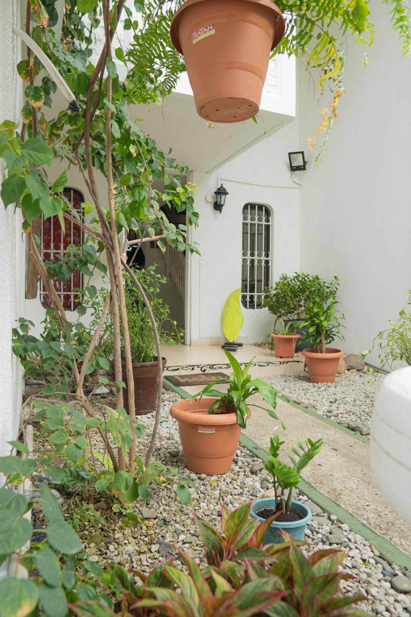 Hostal Loco Coco Loco Panama City Exterior photo